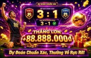 vin88vin the thao